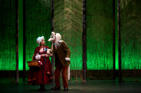 The Tale of The Red Riding Hood